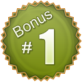 Bonus #1